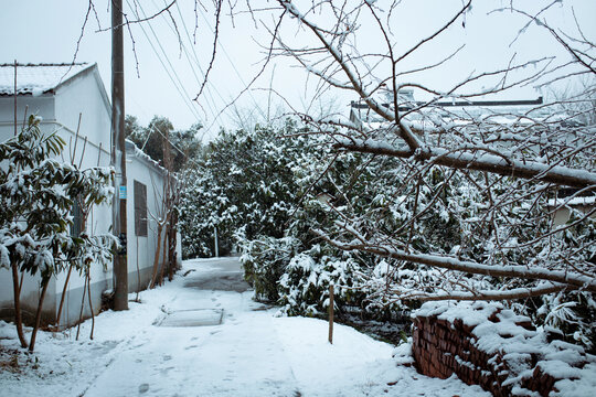 太湖冬雪