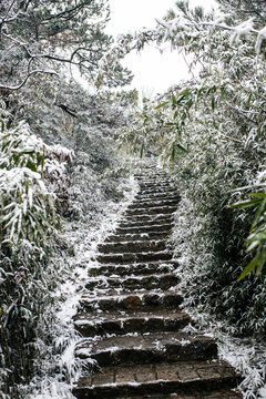 大阳山森林公园雪景