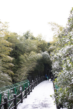 雪景