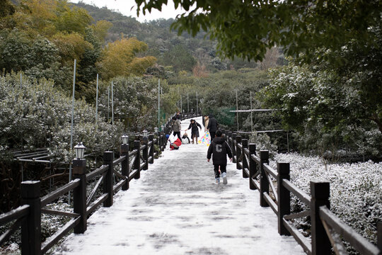 雪中