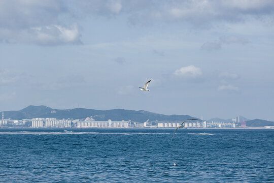 大海背景图