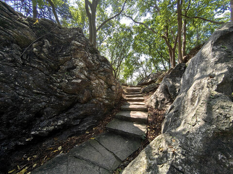 景区步道