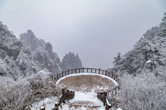 冬季的黄山雾凇雪景