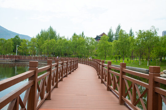 西宁北川河湿地公园
