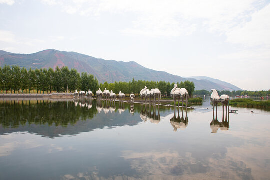 西宁北川河湿地公园