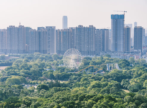 广西柳州雀儿山公园树林摩天轮