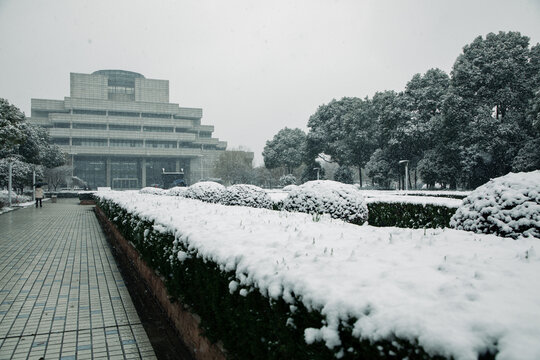 理工地标雪景