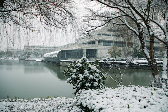 校园大雪