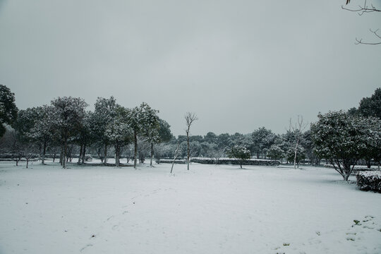 常熟雪