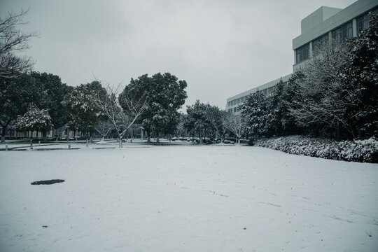 大雪后的校园