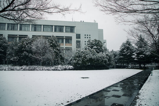 冬日校园