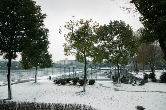 风雨操场雪景