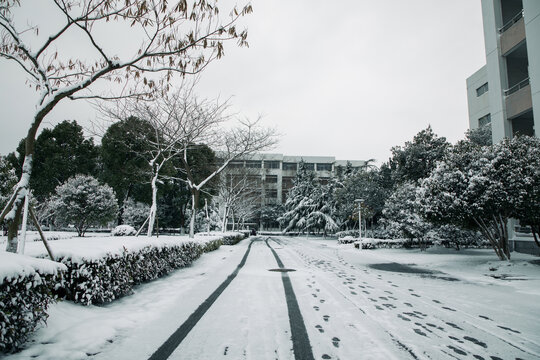 理工大雪