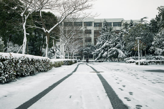 雪后校园