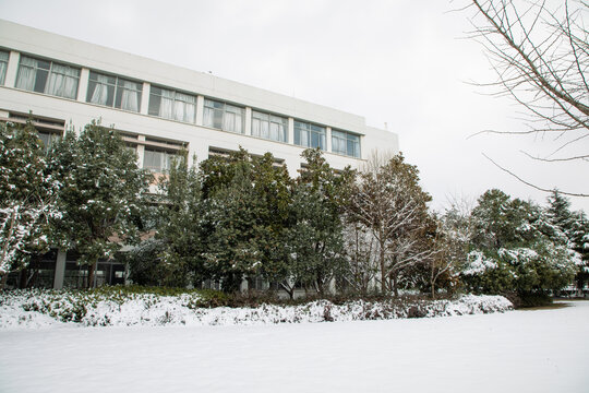 校园雪景