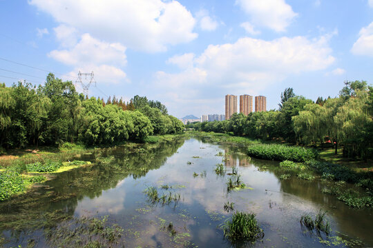 日照沙墩河公园风光