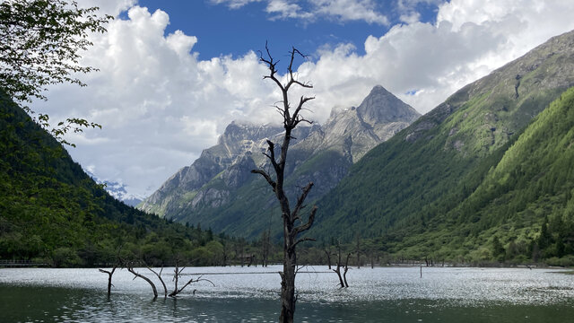 四姑娘山