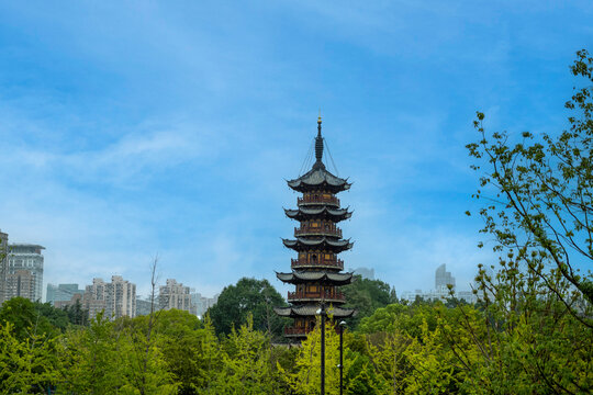 历史建筑龙华塔