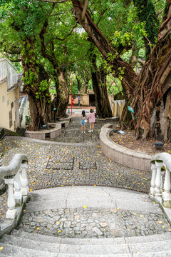 澳门街景