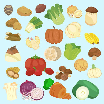 可爱卡通健康蔬菜插图集合