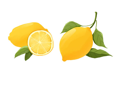 柠檬清新手绘插画