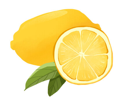 柠檬手绘插画