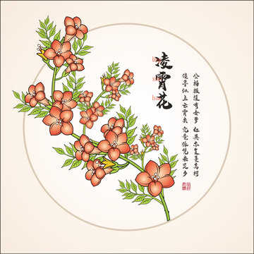 矢量凌霄花