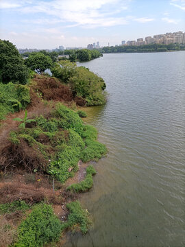 湖泊美景