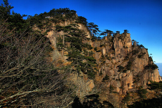 黄山山峦黄山松