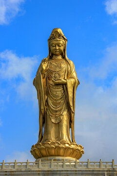 浙江舟山普陀山风景区