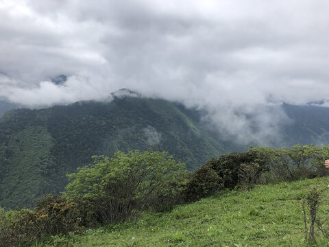 高山云雾