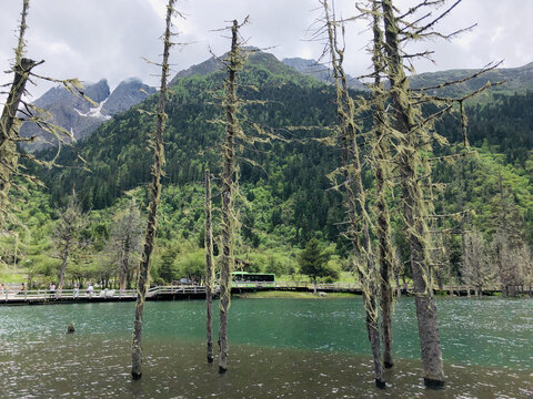 四姑娘山