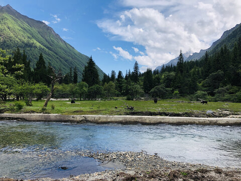 四姑娘山