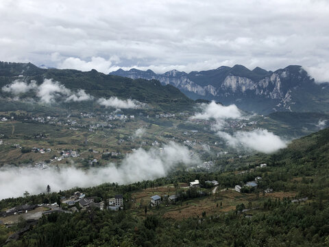 高山云雾