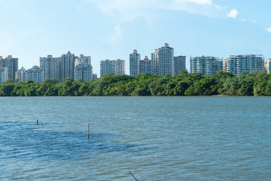 海南万泉河热带沿河风光