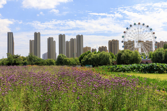 山东莒南鸡龙河湿地公园