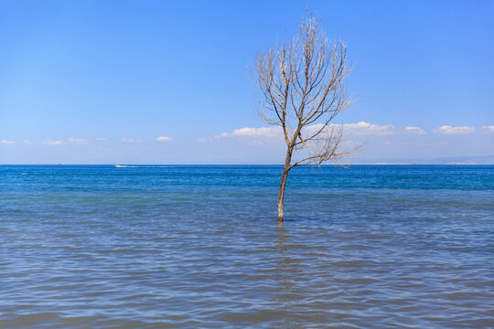 青海湖风光