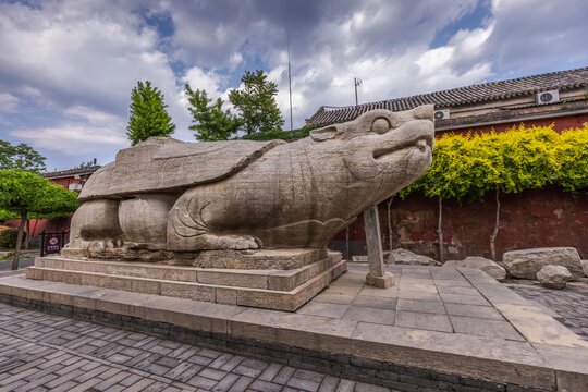 正定开元寺赑屃碑