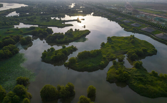 渭河生态保护区
