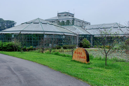广州植物园热带植物林玻璃温室