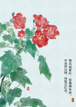 微风芙蓉