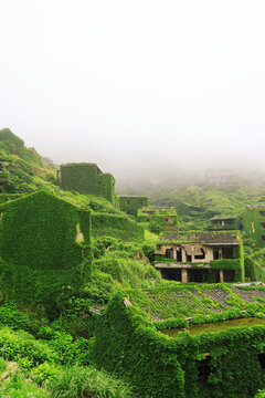 绿野仙踪无人村