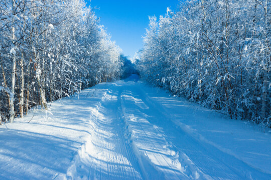冬天雪景积雪森林道路