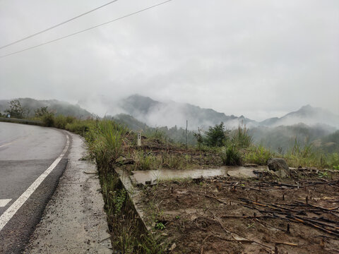 雨后的庄稼地