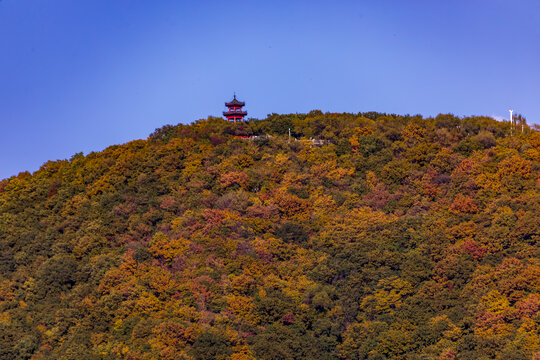 吉林省吉林市龙潭山金秋五花山