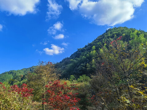 大水坑的山