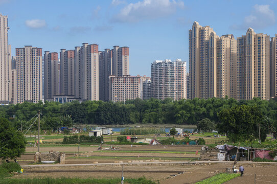 城市边的田地