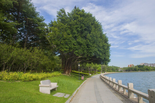 公园环湖步道风景
