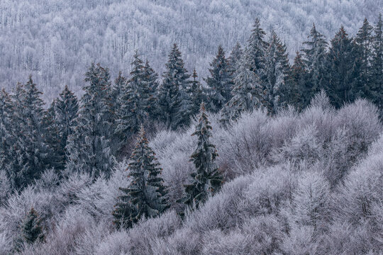 斯托福森雪山