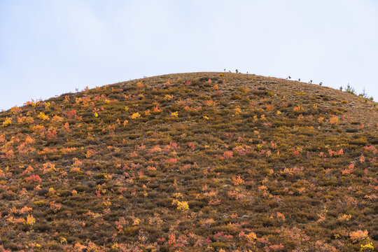 张北草原天路的秋季美景
